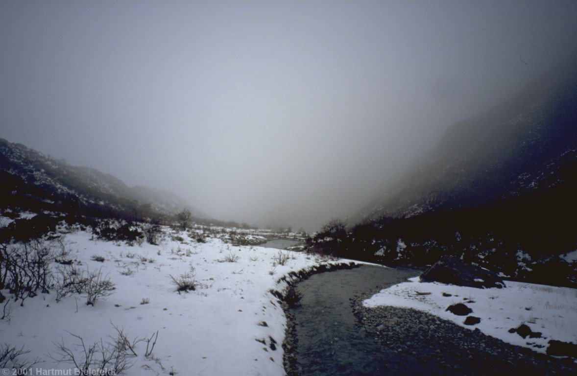 We immerge into the fog before we reach Gongga Gompa.
