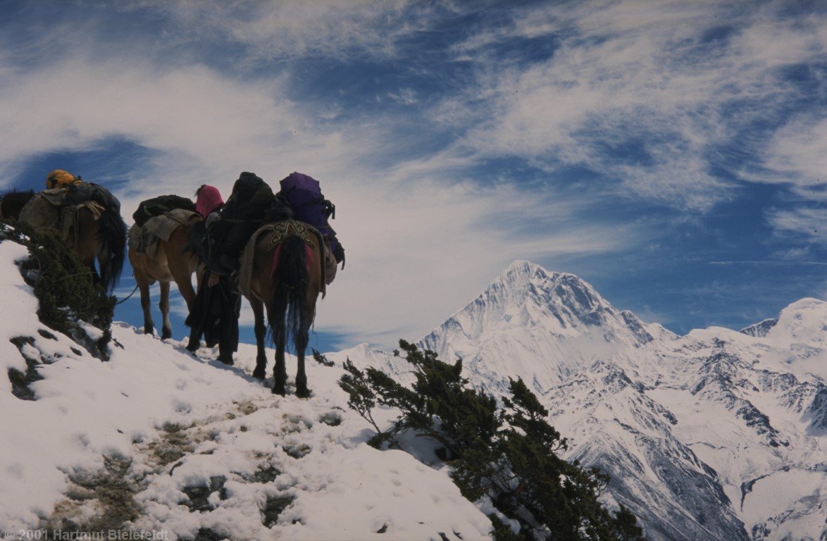 near the pass