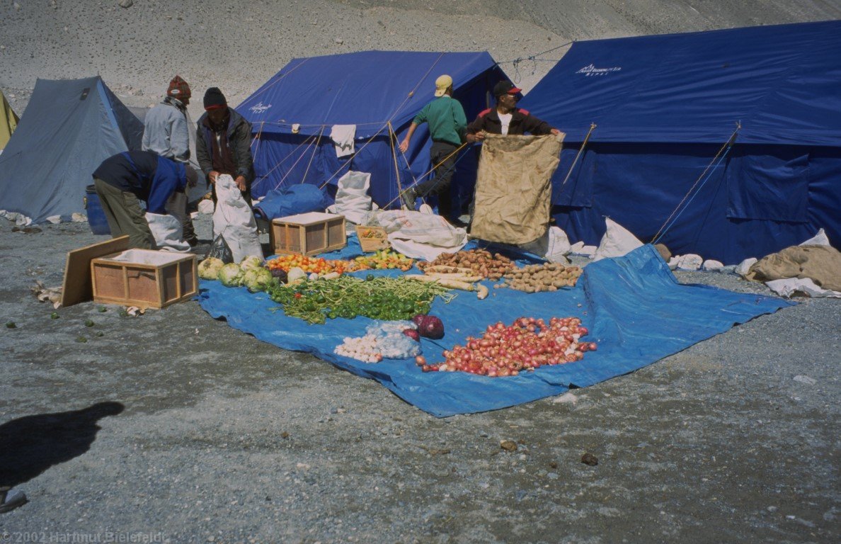 The frozen vegetable has to be sorted out