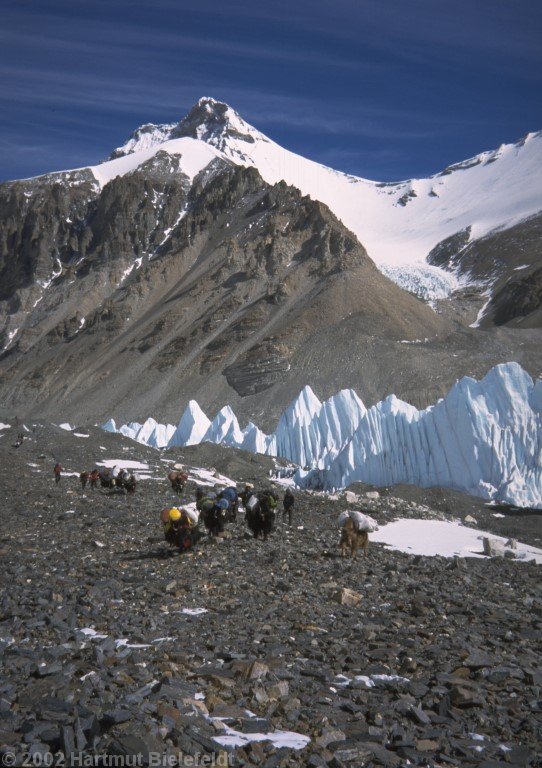 6000 meters are reached. In the backround Kellas Rock Peak (7113 m)