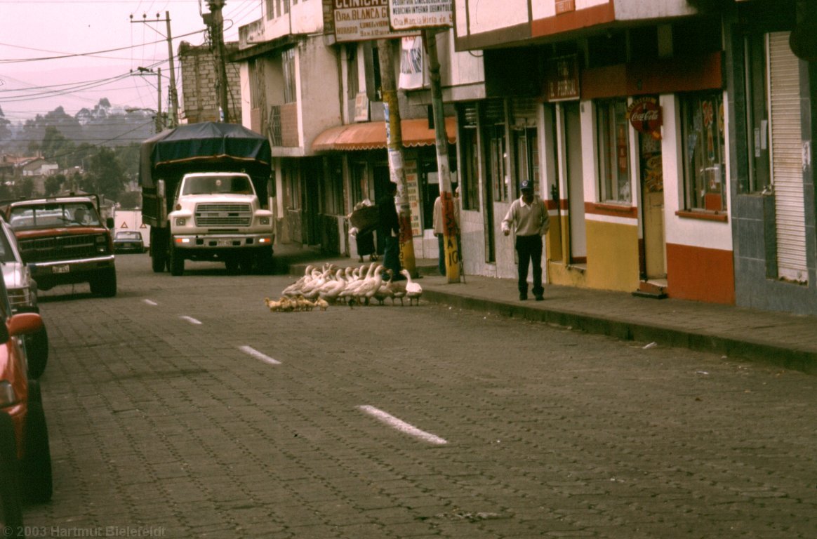 traffic obstacles in Machachi