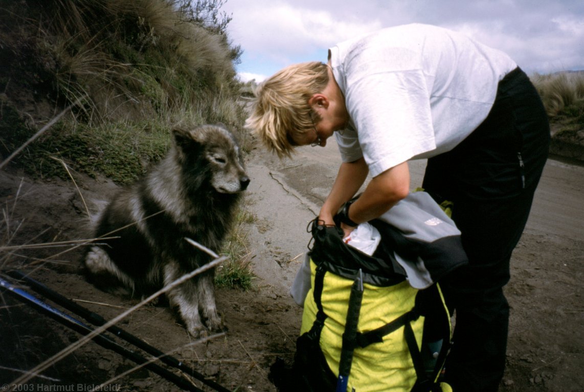 und vielleicht findet sich ja im Rucksack auch was Fressbares.