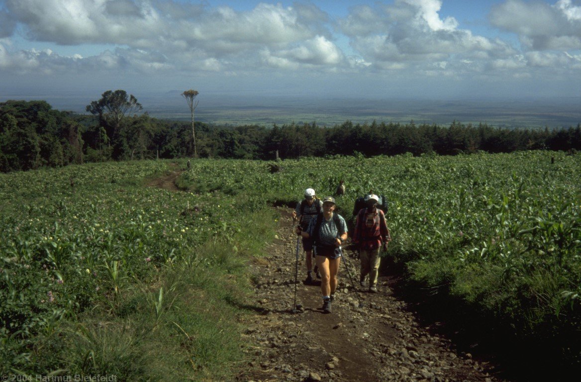 The walk up begins without hurry through cornfields