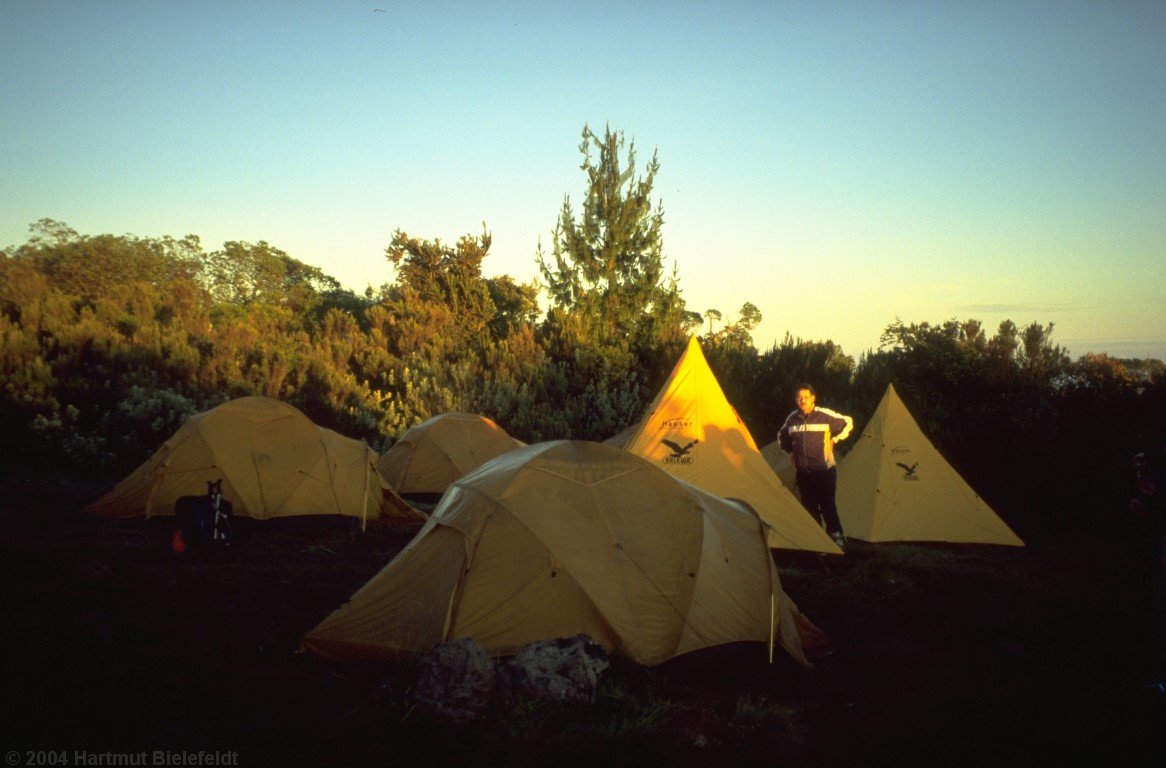 morning in Simba Camp