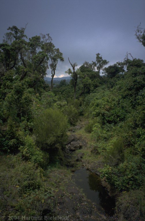 not far from Marangu Gate