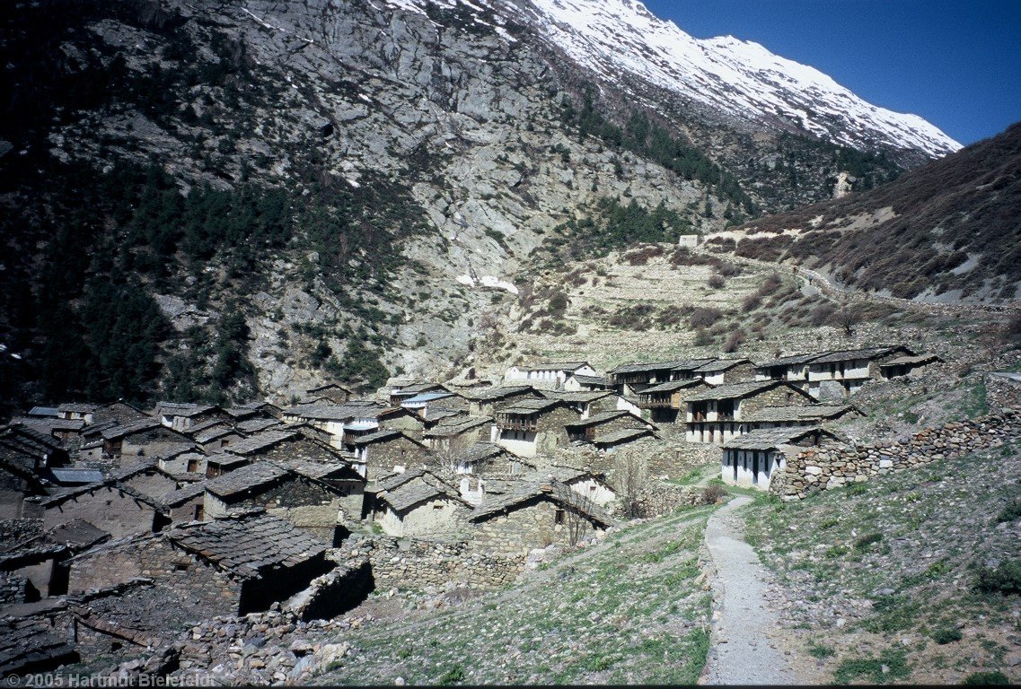 Niti