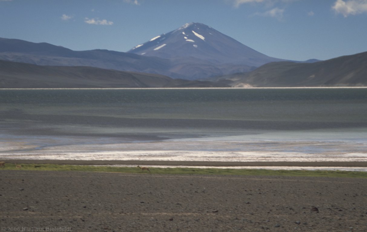 An der Laguna Verde; Cerro Tres Quebradas (6239 m)