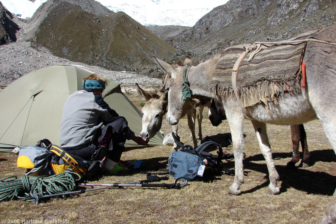 back in base camp Ishinca