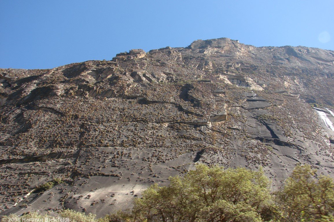 The huge slabs at the entrance of Quebrada Llanganuco are covered with plants