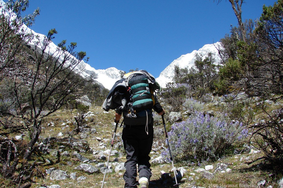 Lots of vegetation in the small valley at 4200 m