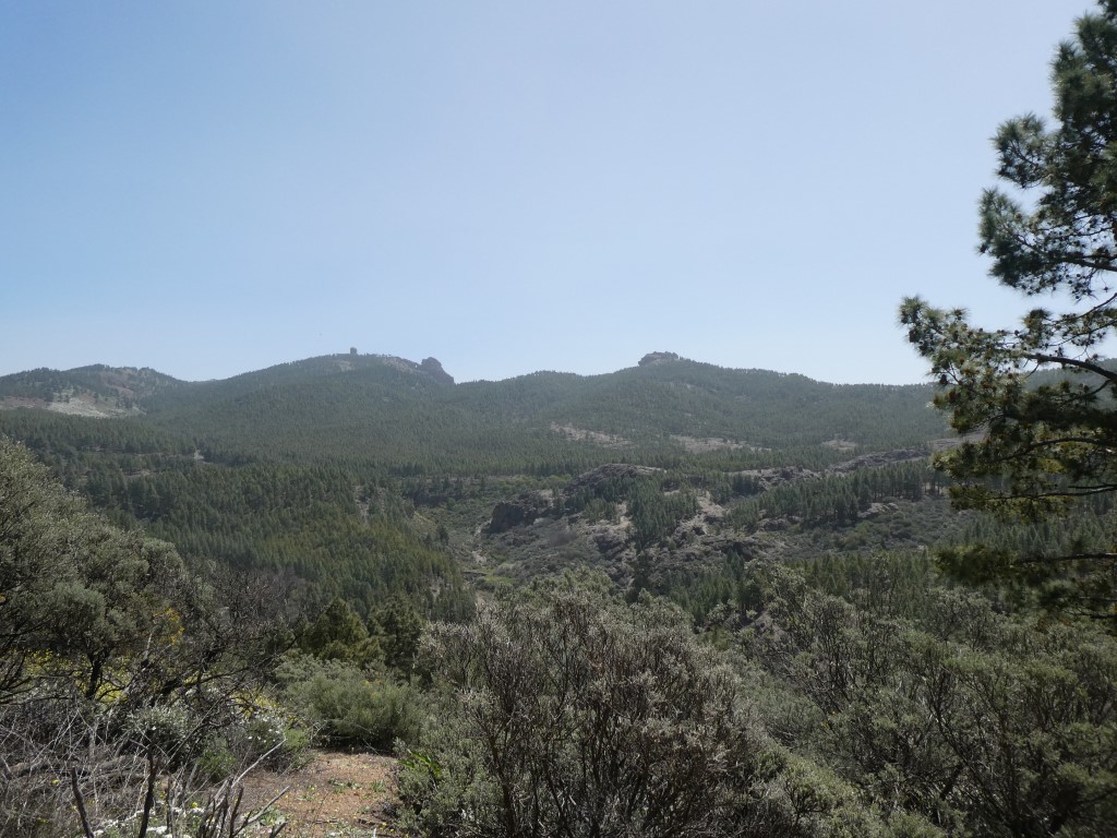 Die Kuppel am Pico de las Nieves ist etwa 5 km entfernt.