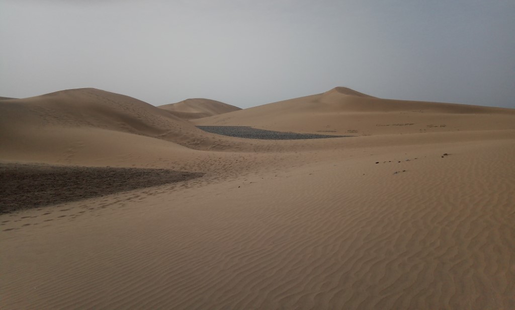 Dunas