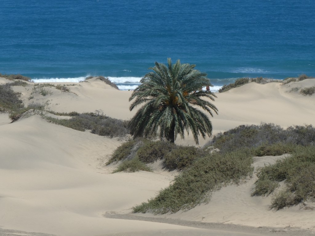 Dunas de Maspalomas