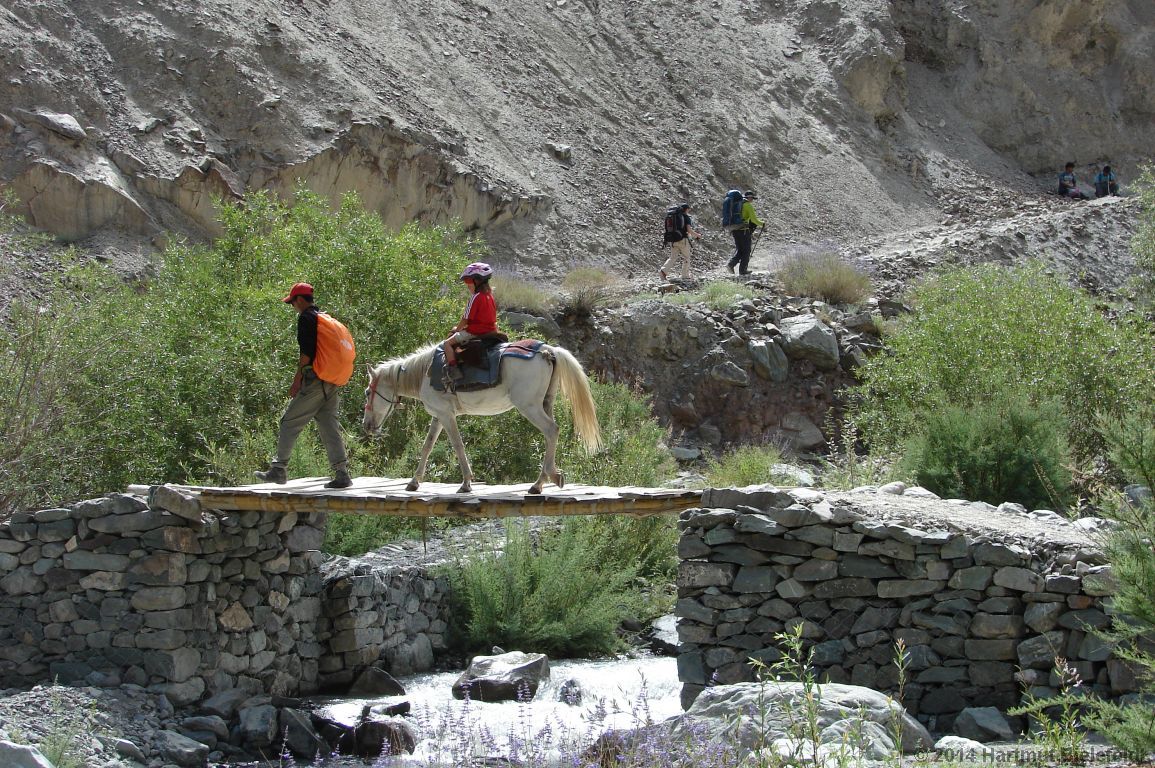Das Reiten funktioniert sehr schnell