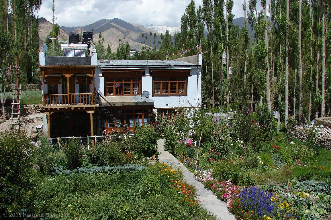 Guesthouse in Leh