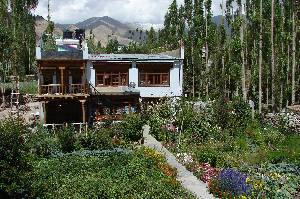 Guesthouse in Leh