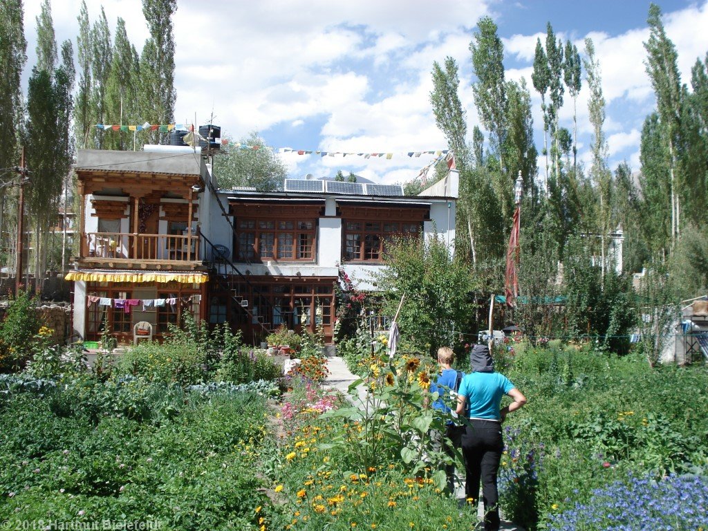 Guesthouse in Leh