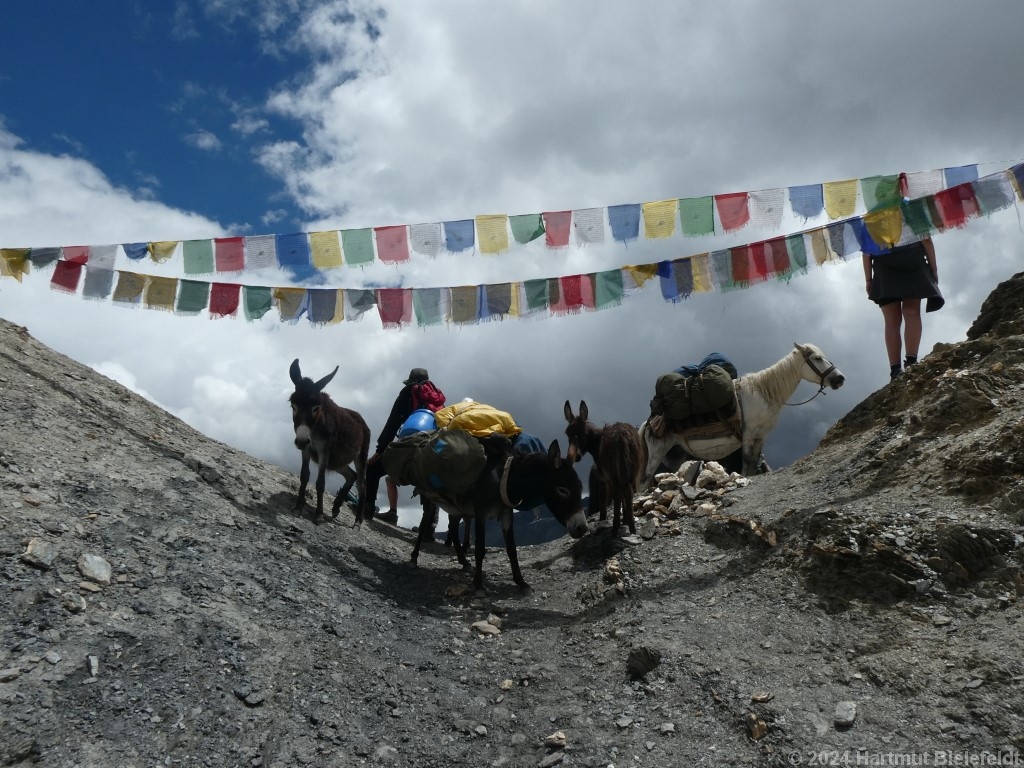 Yogma La (4730 m)