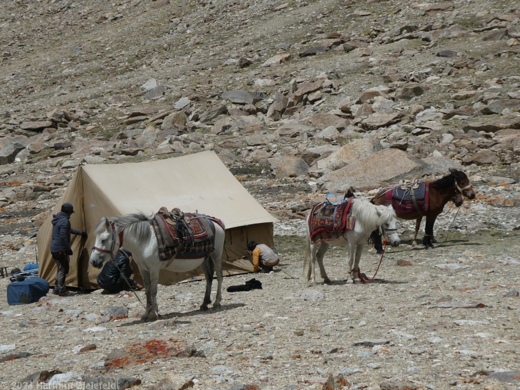 new campsite at 5650 m