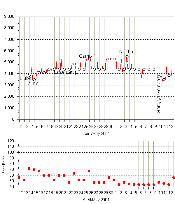 height diagram