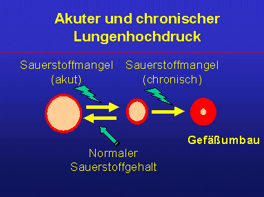 Abbildung 2. Anklicken �ffnet die Grafik in neuem Fenster.